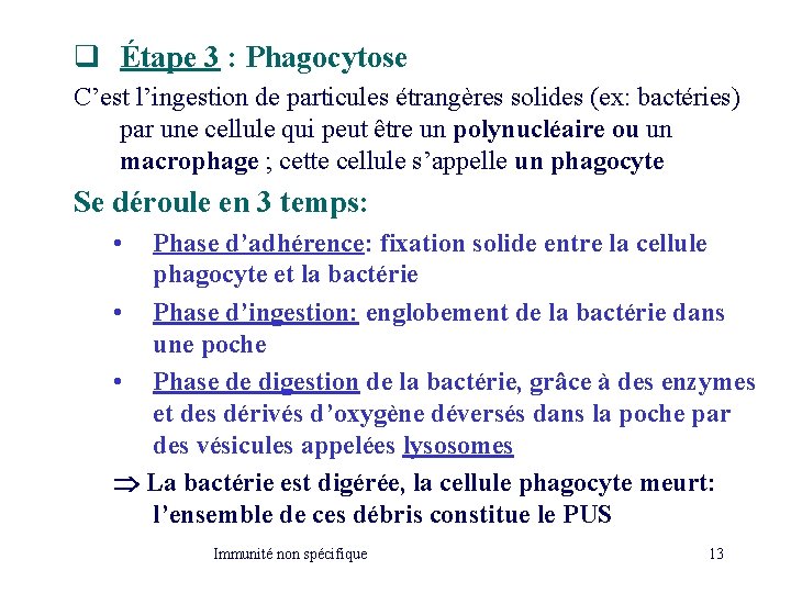 q Étape 3 : Phagocytose C’est l’ingestion de particules étrangères solides (ex: bactéries) par