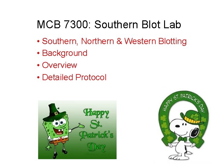 MCB 7300: Southern Blot Lab • Southern, Northern & Western Blotting • Background •