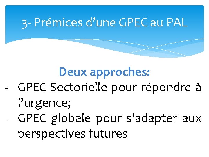 3 - Prémices d’une GPEC au PAL Deux approches: - GPEC Sectorielle pour répondre