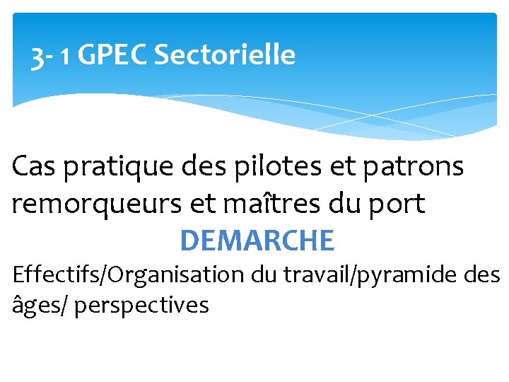 3 - 1 GPEC Sectorielle Cas pratique des pilotes et patrons remorqueurs et maîtres