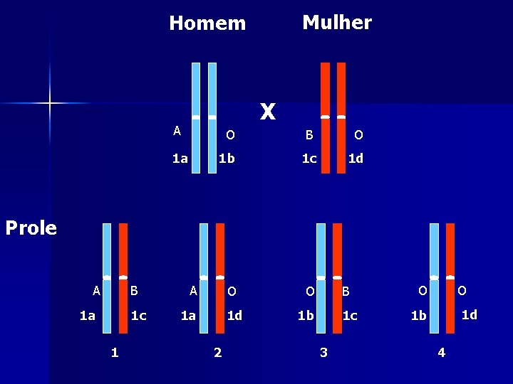 Mulher Homem X A O B O 1 a 1 b 1 c 1 Mulher Homem X A O B O 1 a 1 b 1 c 1