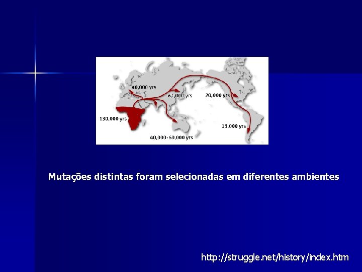 Mutações distintas foram selecionadas em diferentes ambientes http: //struggle. net/history/index. htm Mutações distintas foram selecionadas em diferentes ambientes http: //struggle. net/history/index. htm