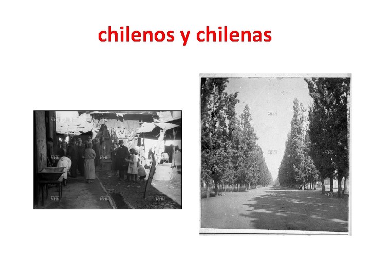 chilenos y chilenas chilenos y chilenas