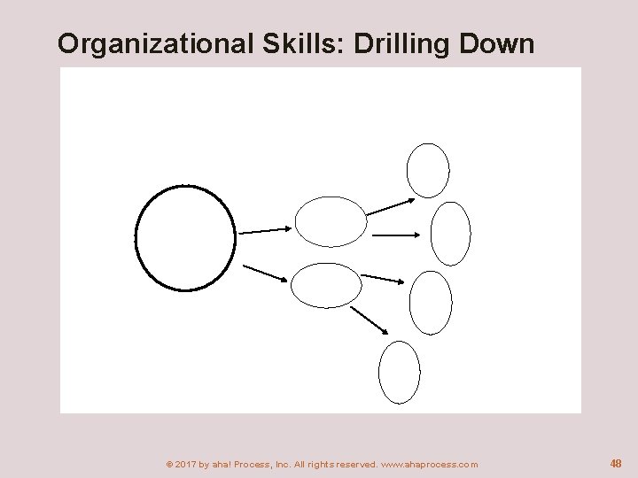 Organizational Skills: Drilling Down © 2017 by aha! Process, Inc. All rights reserved. www.
