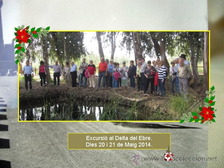 Excursió al Delta del Ebre. Dies 20 i 21 de Maig 2014. 