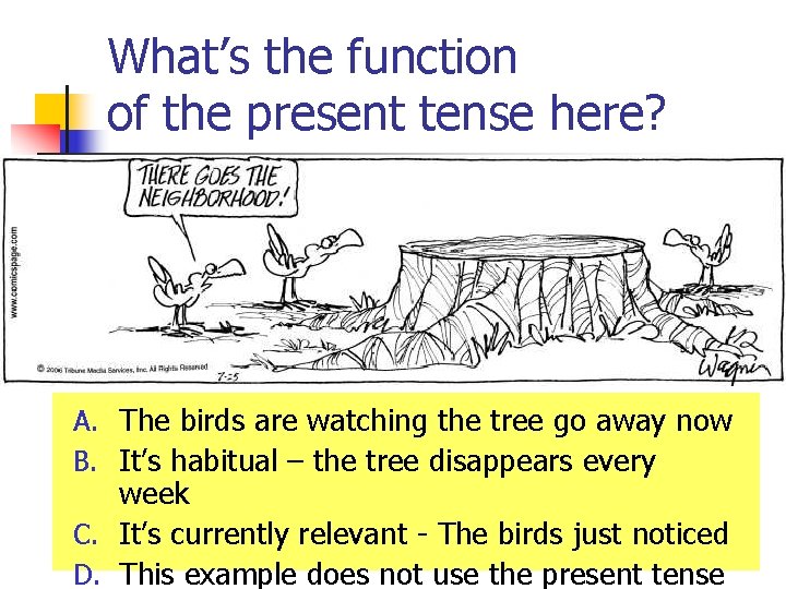 What’s the function of the present tense here? A. The birds are watching the