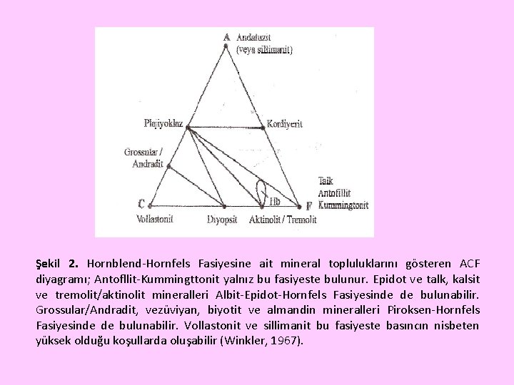 Şekil 2. Hornblend-Hornfels Fasiyesine ait mineral topluluklarını gösteren ACF diyagramı; Antofllit-Kummingttonit yalnız bu fasiyeste