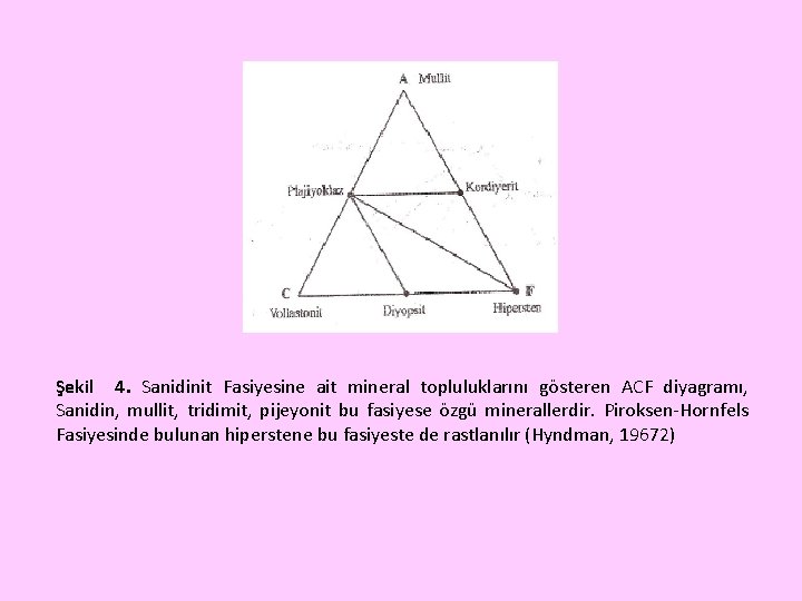 Şekil 4. Sanidinit Fasiyesine ait mineral topluluklarını gösteren ACF diyagramı, Sanidin, mullit, tridimit, pijeyonit