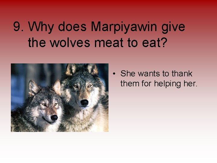 9. Why does Marpiyawin give the wolves meat to eat? • She wants to