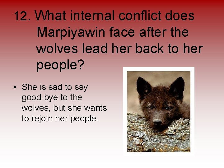 12. What internal conflict does Marpiyawin face after the wolves lead her back to