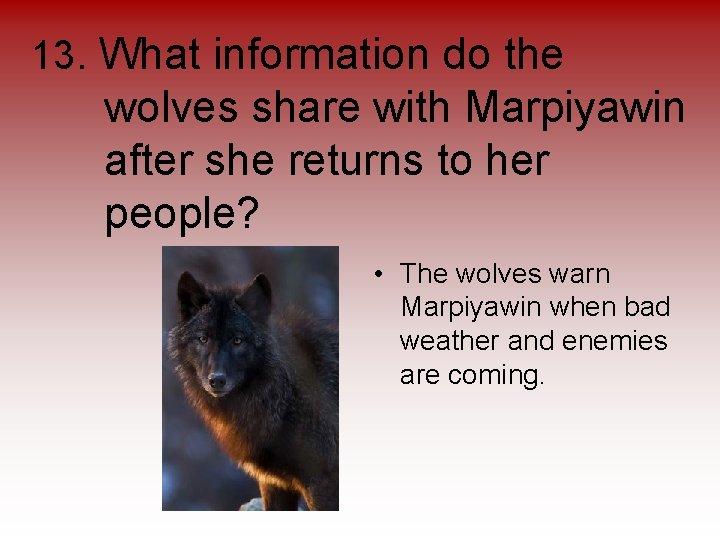 13. What information do the wolves share with Marpiyawin after she returns to her