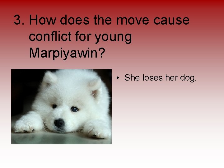 3. How does the move cause conflict for young Marpiyawin? • She loses her