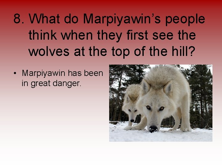 8. What do Marpiyawin’s people think when they first see the wolves at the