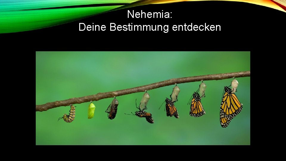 Nehemia: Deine Bestimmung entdecken 