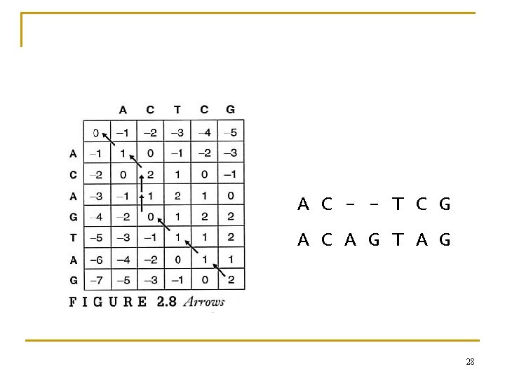 A C - - T C G A C A G T A G