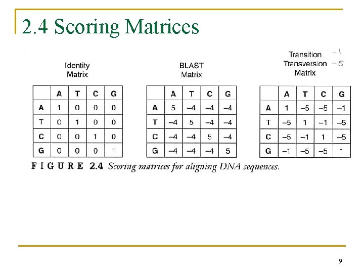 2. 4 Scoring Matrices 9 