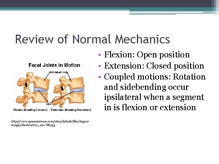 Mechanical Low Back Pain and Muscle Energy Technique