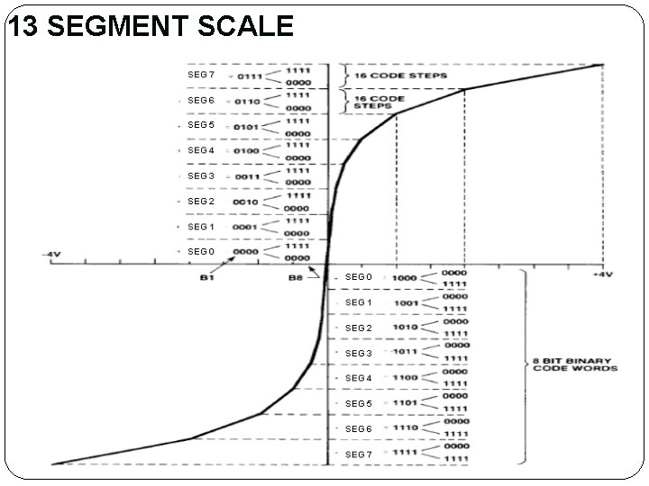 13 SEGMENT SCALE 13 SEGMENT SCALE