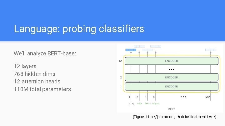 Language: probing classifiers We’ll analyze BERT-base: 12 layers 768 hidden dims 12 attention heads