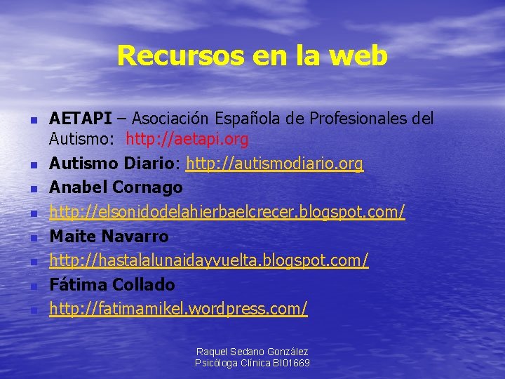 Recursos en la web n n n n AETAPI – Asociación Española de Profesionales
