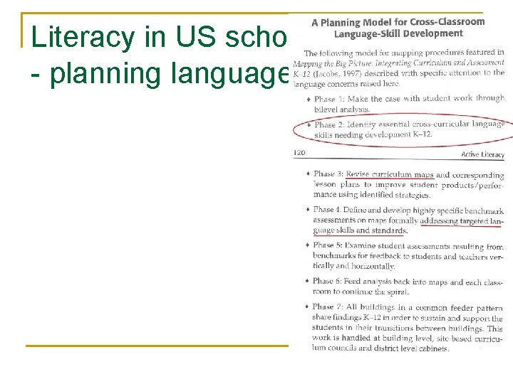 Literacy in US schools - planning language 