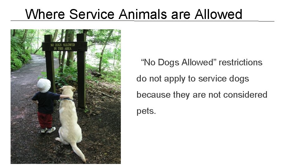 Where Service Animals are Allowed “No Dogs Allowed” restrictions do not apply to service