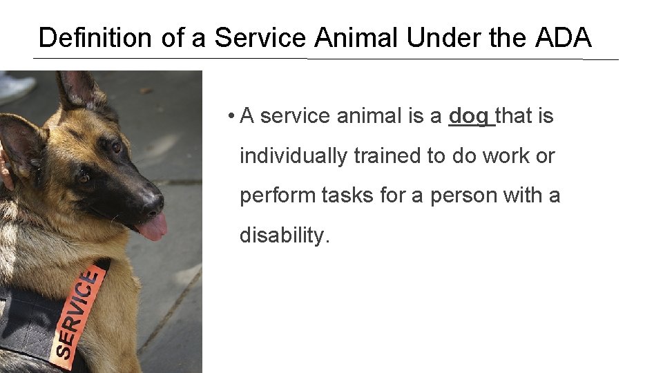 Definition of a Service Animal Under the ADA • A service animal is a