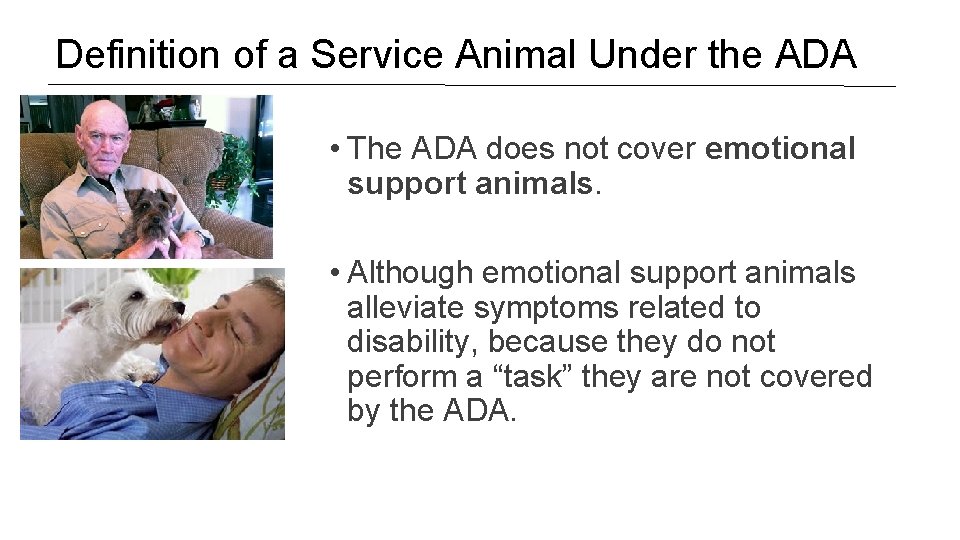 Definition of a Service Animal Under the ADA • The ADA does not cover