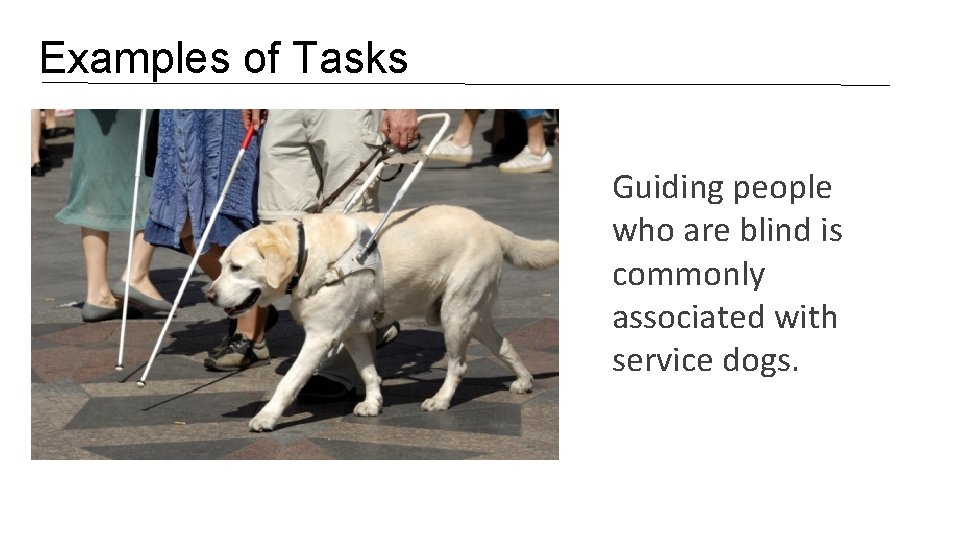 Examples of Tasks Guiding people who are blind is commonly associated with service dogs.