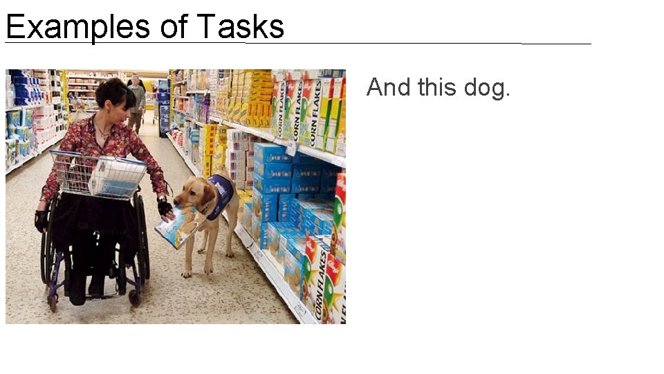 Examples of Tasks And this dog. 
