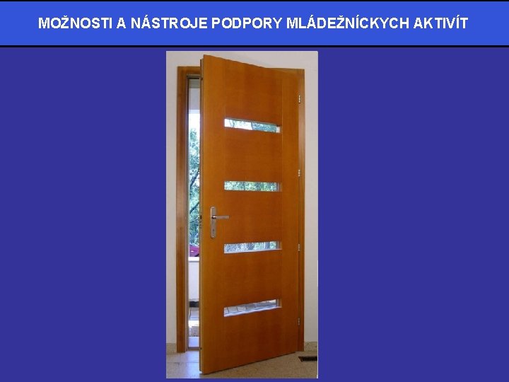 MOŽNOSTI A NÁSTROJE PODPORY MLÁDEŽNÍCKYCH AKTIVÍT 