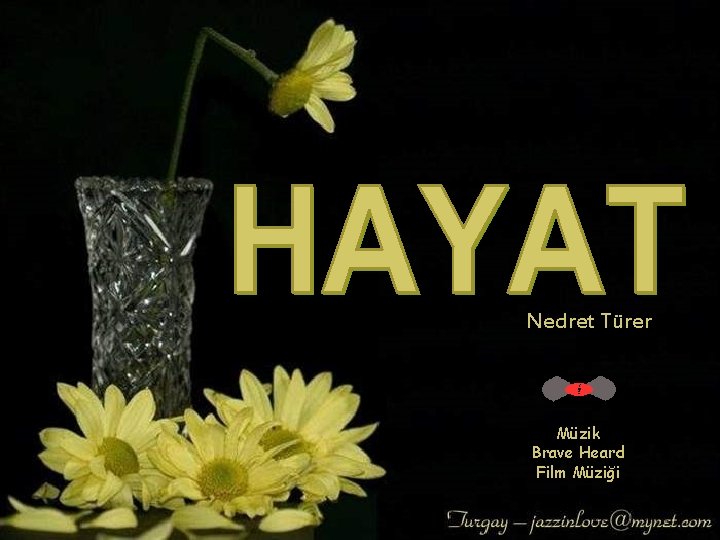Nedret Türer Müzik Brave Heard Film Müziği 