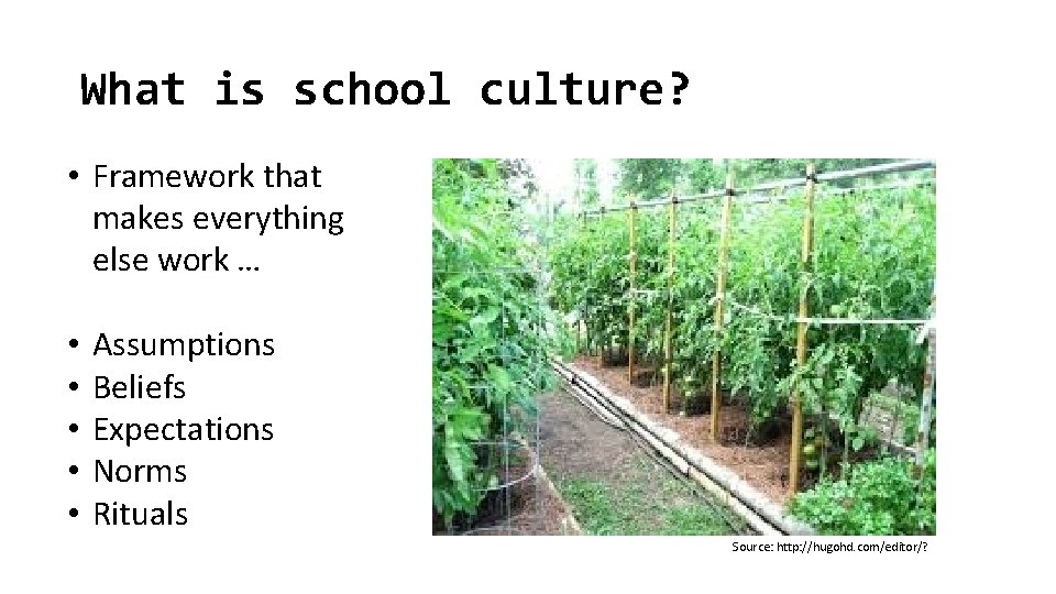 What is school culture? • Framework that makes everything else work … • •