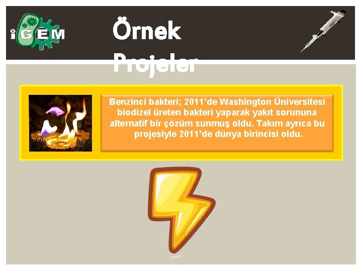 Örnek Projeler Benzinci bakteri; 2011’de Washington Üniversitesi biodizel üreten bakteri yaparak yakıt sorununa alternatif