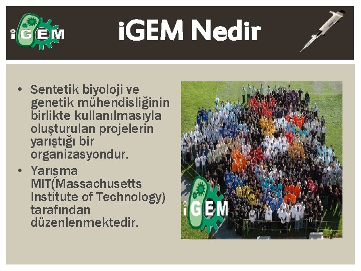 i. GEM Nedir • Sentetik biyoloji ve genetik mühendisliğinin birlikte kullanılmasıyla oluşturulan projelerin yarıştığı