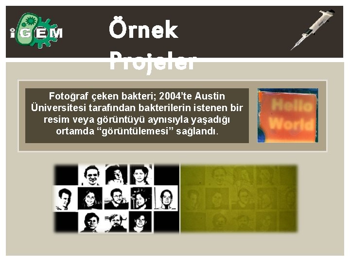 Örnek Projeler Fotoğraf çeken bakteri; 2004’te Austin Üniversitesi tarafından bakterilerin istenen bir resim veya