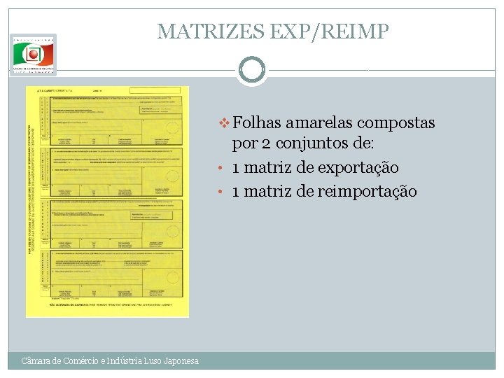 MATRIZES EXP/REIMP v Folhas amarelas compostas por 2 conjuntos de: • 1 matriz de