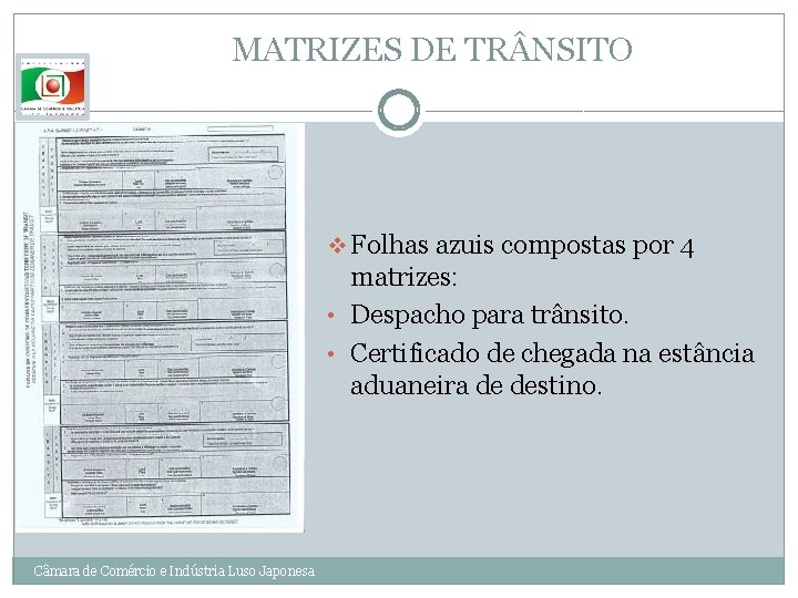 MATRIZES DE TR NSITO v Folhas azuis compostas por 4 matrizes: • Despacho para