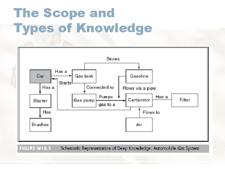The Scope and Types of Knowledge 