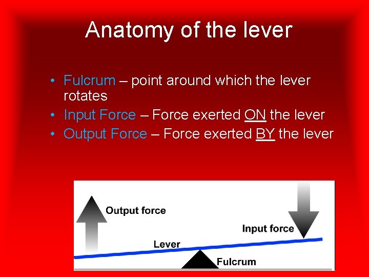 Anatomy of the lever • Fulcrum – point around which the lever rotates •