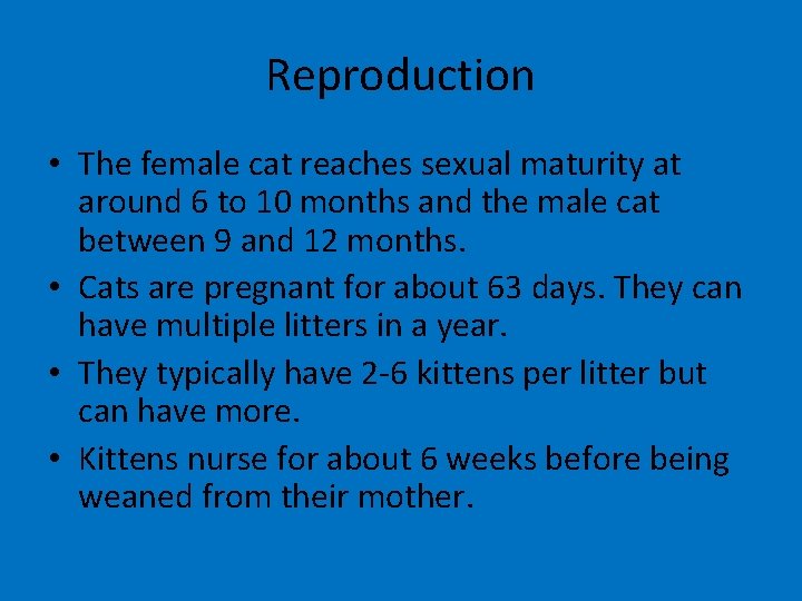 Reproduction • The female cat reaches sexual maturity at around 6 to 10 months