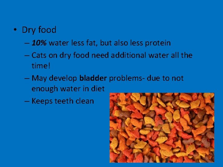  • Dry food – 10% water less fat, but also less protein –