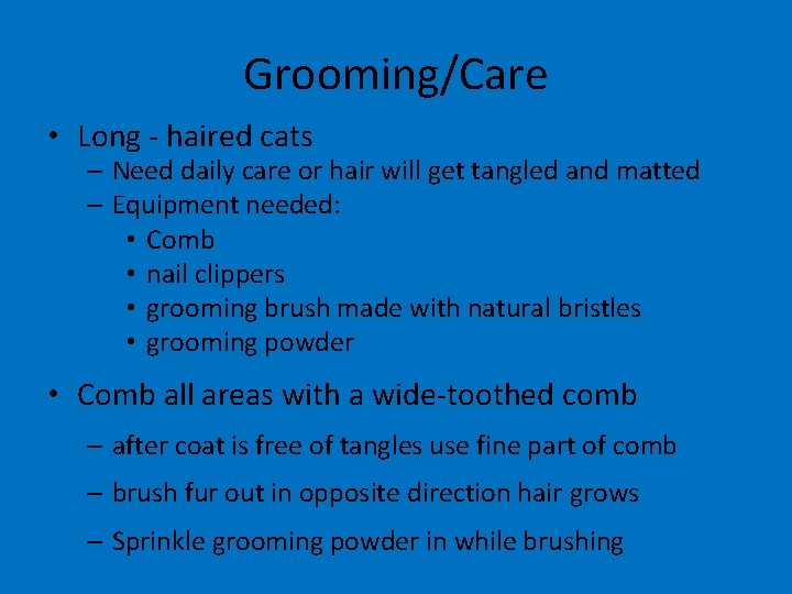 Grooming/Care • Long - haired cats – Need daily care or hair will get