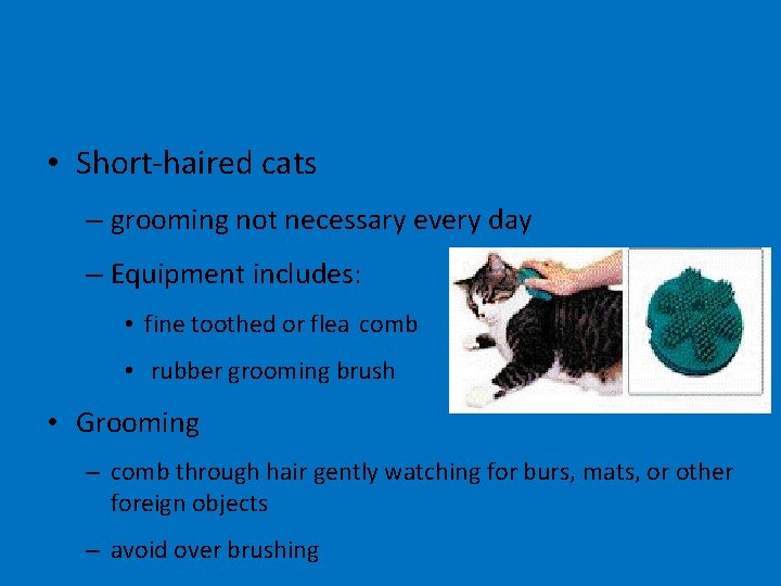  • Short-haired cats – grooming not necessary every day – Equipment includes: •