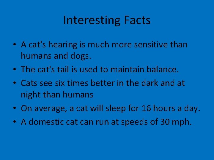 Interesting Facts • A cat's hearing is much more sensitive than humans and dogs.