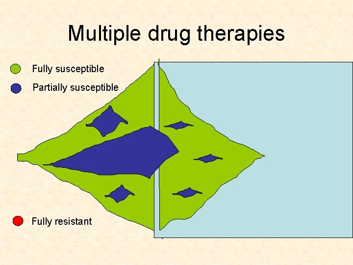 Multiple drug therapies Fully susceptible Partially susceptible Fully resistant 