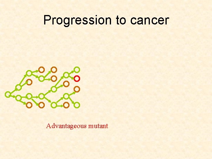 Progression to cancer Advantageous mutant 