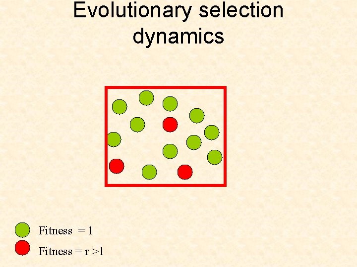 Evolutionary selection dynamics Fitness = 1 Fitness = r >1 