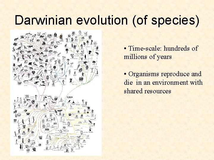 Darwinian evolution (of species) • Time-scale: hundreds of millions of years • Organisms reproduce