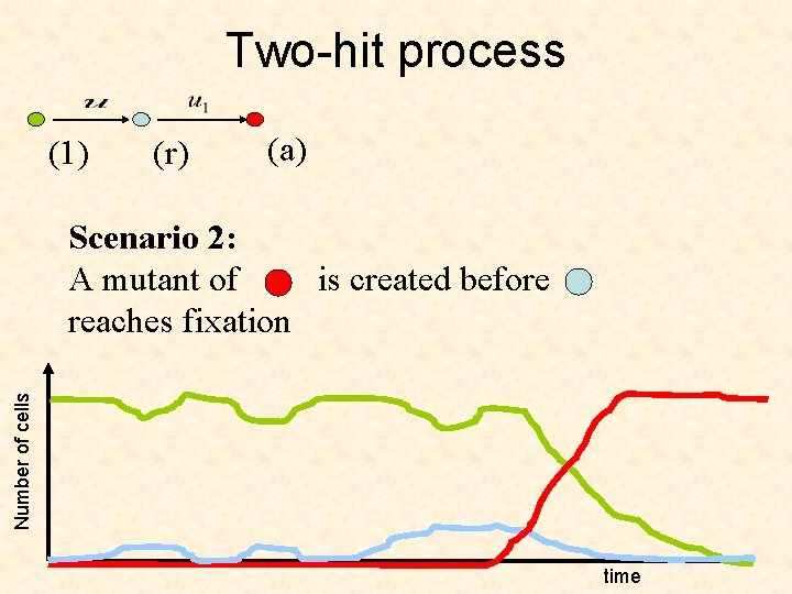 Two-hit process (1) (r) (a) Number of cells Scenario 2: A mutant of is